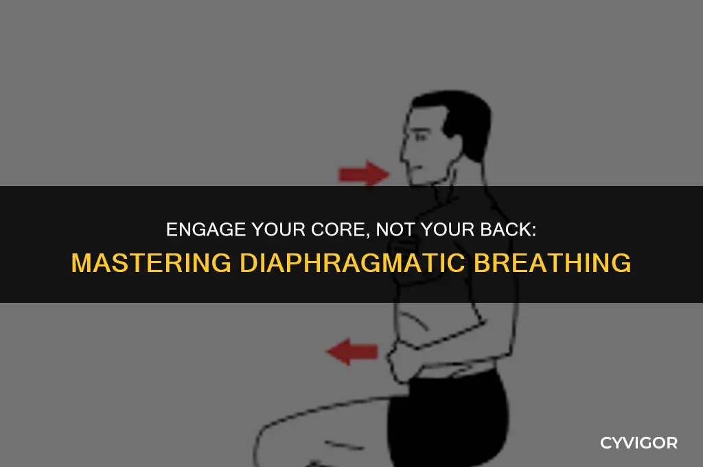 how to activate core and not back muscles diaphragmatic breathing
