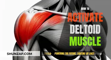 Activating the Deltoid Muscle: A Comprehensive Guide