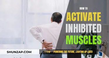 Activating Inhibited Muscles: Techniques for Targeted Muscle Activation