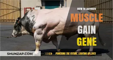Unlock Your Muscle Gain Gene: Proven Strategies for Optimal Growth