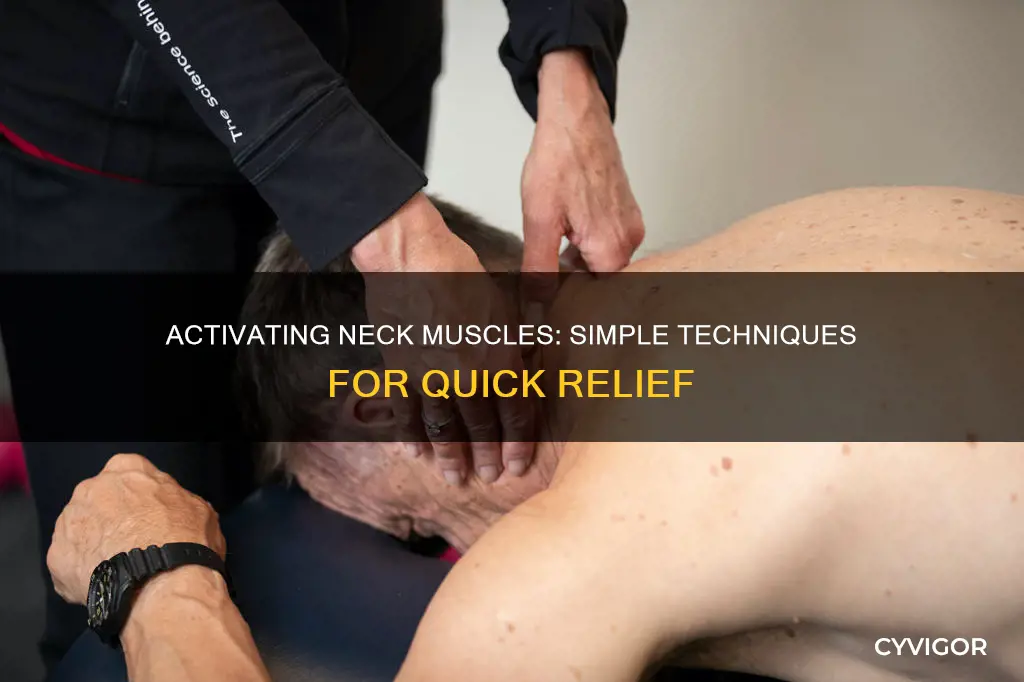 how to activate neck muscles