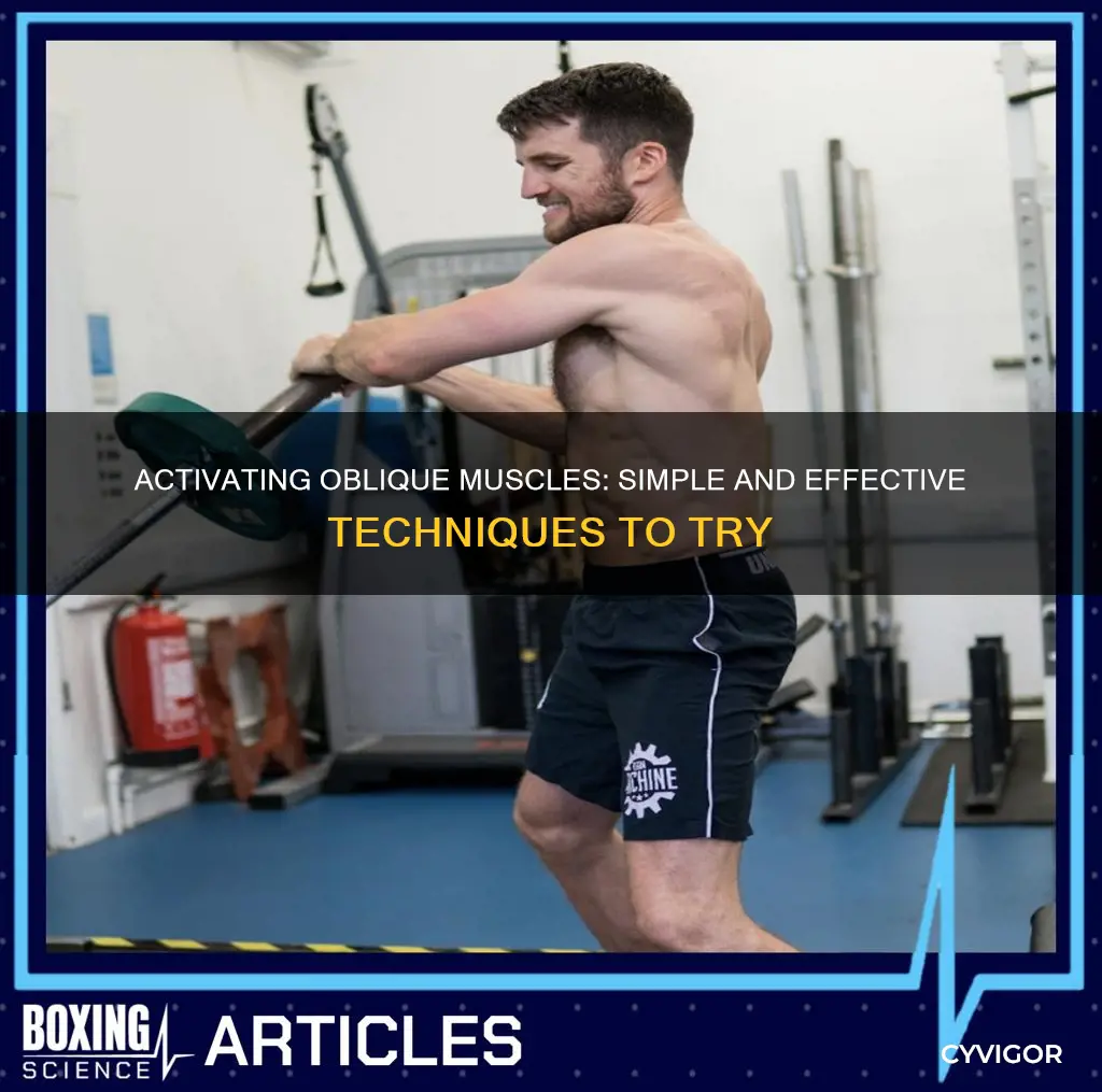 how to activate oblique muscles