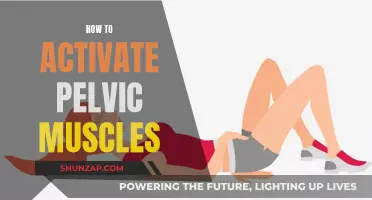 Activating Pelvic Muscles: Simple Techniques for a Stronger Core