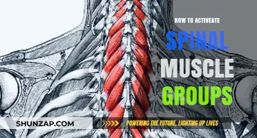 Unlocking Spinal Strength: Effective Techniques to Activate Core Muscle Groups