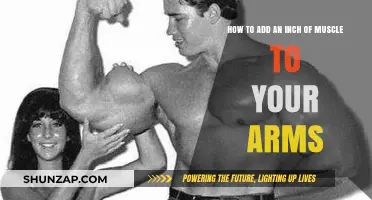 Build Bigger Arms: Proven Tips to Add an Inch of Muscle