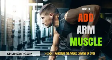 Effective Arm Muscle Building: Tips, Exercises, and Strategies for Growth