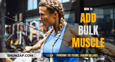 Building Bulk Muscle: Strategies for Gaining Mass