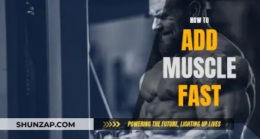 Building Muscle Fast: Effective Strategies for Quick Results