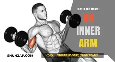Effective Inner Arm Muscle Building: Tips and Exercises for Toned Arms