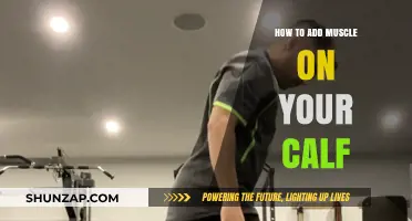 Building Strong Calves: A Comprehensive Guide to Muscle Growth