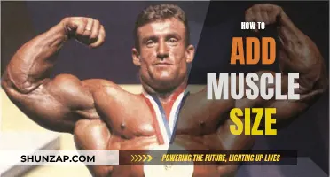Building Muscle Mass: Effective Strategies for Growth