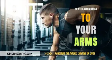 Effective Arm Muscle Building: Proven Techniques for Stronger, Bigger Arms