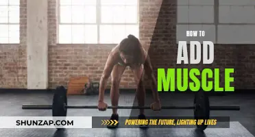 Building Muscle: Effective Strategies for Strength and Growth