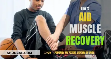 Aiding Muscle Recovery: Effective Strategies for Optimal Results