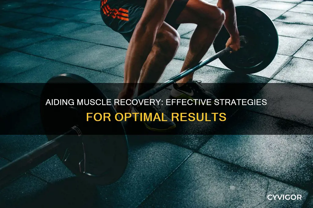 how to aid muscle recovery