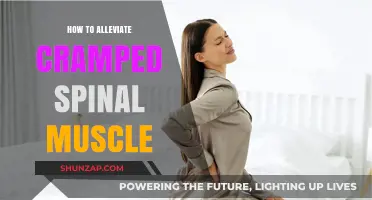 Ease Your Back Pain: Effective Ways to Relieve Cramped Spinal Muscles