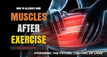 Effective Post-Workout Recovery Tips to Ease Sore Muscles Fast