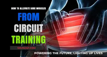 Effective Recovery Tips to Ease Sore Muscles After Circuit Training