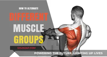 Master Muscle Group Alternation: Effective Strategies for Balanced Strength Training