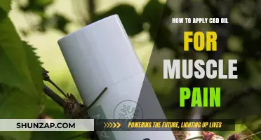 Effective CBD Oil Application Techniques for Relieving Muscle Pain