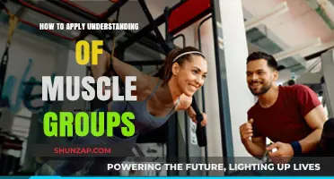 Mastering Muscle Groups: Effective Application for Optimal Fitness Results