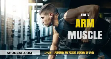 Effective Arm Muscle Building: Tips, Exercises, and Strategies for Strength