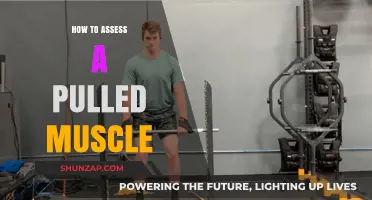 Pulled Muscle Assessment: Quick Guide to Identify and Treat Strains