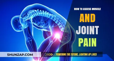 Effective Strategies for Evaluating Muscle and Joint Pain Causes