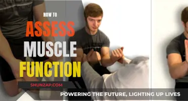Assessing Muscle Function: Techniques for Understanding Muscle Performance