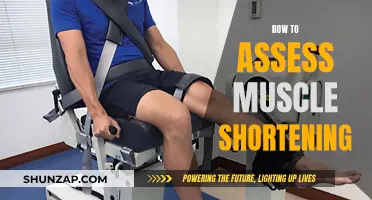 Assessing Muscle Shortening: Techniques for Understanding Your Body