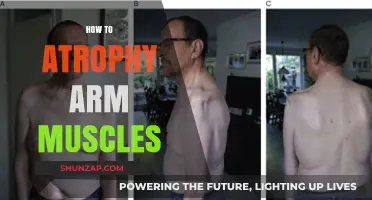 Effective Techniques to Safely Atrophy Arm Muscles for Specific Needs
