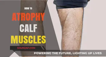 Shrinking Calves: A Guide to Safe and Effective Muscle Atrophy