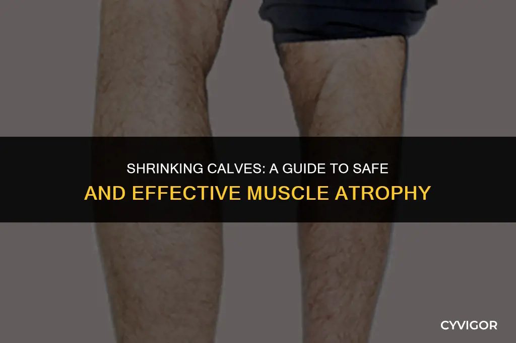 how to atrophy calf muscles