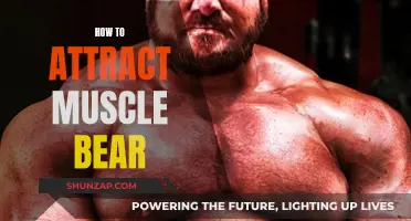 Attract a Muscle Bear: Tips for Success