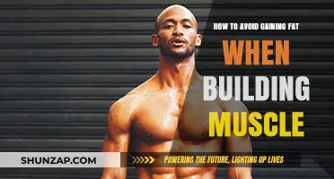 Muscle Gain Without Fat: Strategies for Lean Bodybuilding Success
