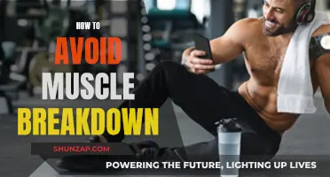 Preventing Muscle Breakdown: Strategies for Maintaining Strength