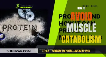 Prevent Muscle Catabolism: Strategies to Maintain Your Gains