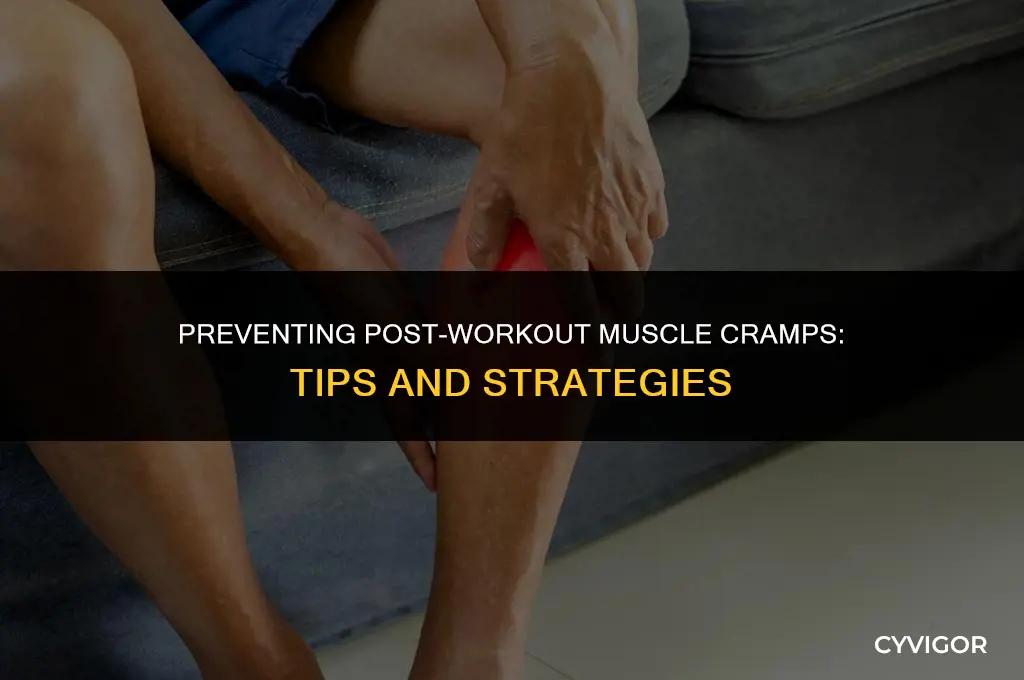how to avoid muscle cramps after workout