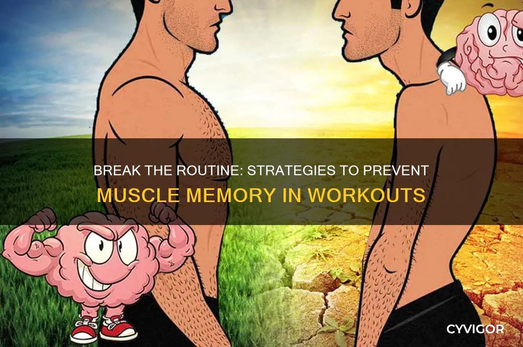 how to avoid muscle memory when working out