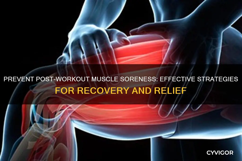 how to avoid muscle pain after working out