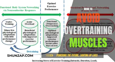 Preventing Overtraining: Strategies for Muscle Recovery and Maintenance
