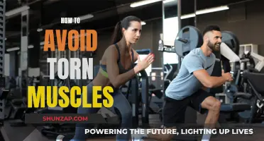 Preventing Torn Muscles: Strategies for Safe Training
