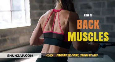 Strengthening Your Back: A Comprehensive Guide to Building Muscle