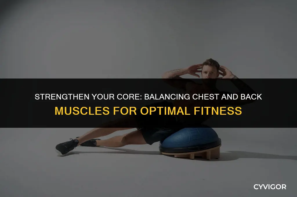 how to balance chest and back muscles