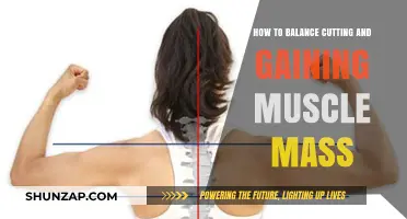 Mastering Muscle Balance: Strategies for Cutting and Gaining Mass