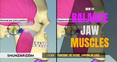 Balancing Jaw Muscles: Finding Symmetry and Relief