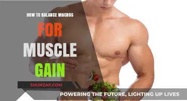 Mastering Macro Balance: Fuel Your Muscle Gain Effectively