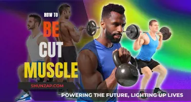 Get Cut Muscles: Workout and Diet Secrets Revealed
