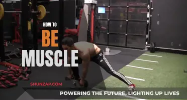 Building Muscle: Strategies for Strength and Growth
