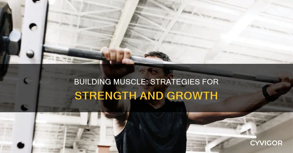 how to be muscle